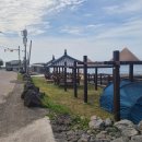 제주 올레길 5코스 이미지