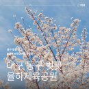 율하체육공원 테니스장 내 | 대구 동구 벚꽃 율하체육공원 봄 산책 주차장 정보