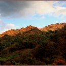 수산리-6 이미지