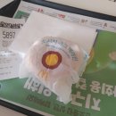 0423-0429 DARUMDARIMDA: 덤벼들다