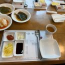 기통찬장어 이미지