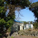 수산본향당 이미지