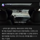설레는 3월