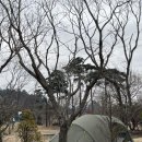 삼원레저타운 | [캠핑일기] #6 삼원레저타운 (2025-03-01~03) (feat. 풍랑주의보)