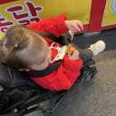 도요새어린이공원 이미지