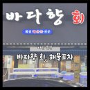 마산 횟집! 가성비 좋은 제철회로 한잔하기 딱 좋은 &#34;바다향 회, 해물포차&#34;