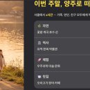 송암차이나 | 양주 가볼만한곳 베스트10 알아보기
