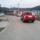 고성왕새우 이미지