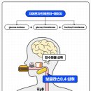 (주)에이치팜 이미지