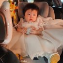 피자크라상&왕애치킨 | [공지] 만족스러웠던 대전 트레이스 돌잔치 음식 돌끝맘 솔직후기