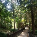 동아대학교대신병원 이미지