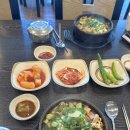 여행 데이트 코스 2일차 : 남자친구랑 함께 떠나는 2박3일 제주도 여행 후기 + 렌트카 , 카멜리아 힐