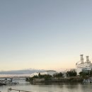 철길상회 | 전북 군산 카페 철길마을 근처 뷰 맛집 분위기 좋은 [오산상회]