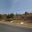 중문동-3 이미지