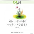 홍*식 - 안양시 동안구 | 홍*식