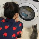 주현공업 네이버블로그