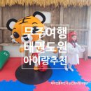 코리아태권도 키즈플레이 | 무주여행 태권도원 아이랑 태권도 시범공연 모노레일 전망대 박물관 플레이원 관람 체험 후기