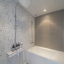 브라운도트거북섬점 이미지