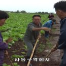 이진철농장 이미지