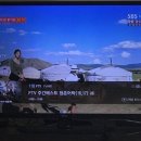청춘어락 이미지