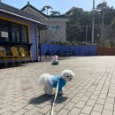 안면도갤러리 이미지