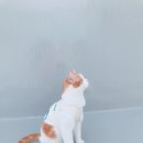 옥상나들이 이미지