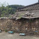 김씨박물관 티스토리
