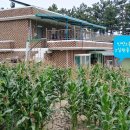 숙희민박 이미지