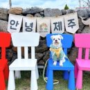 쉼멍스테이 이미지