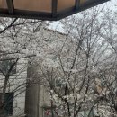 신가네풍천장어 | 신가네 장어구이 불당점 회식후기