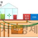 에이스팜 이미지