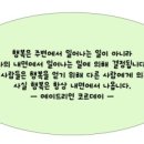 냥냥키티 이미지