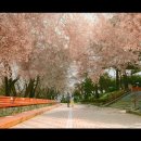 GS25원시티소노점 | 사내맞선 촬영지 36곳을 알려드립니다.