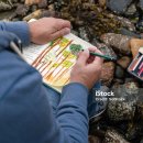 미술치료 이미지