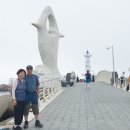 묻지마7080 이미지