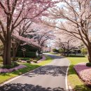 금광레이크펜션 | 안성캠핑장 너리굴문화마을 후기로 떠나는 여행
