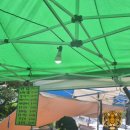 장날에 | 용인 중앙시장 맛집 장날에 꼭 먹어야할 도래창 후기