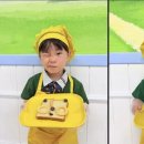 현대한솔유치원 네이버블로그