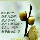 탄다디비라 이미지