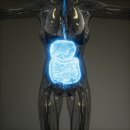 일산윌내과의원 이미지