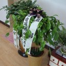 반송보건소 이미지