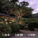 포디그린서초점 | 몸이 베베 꼬이기만 하는 국시 59일전