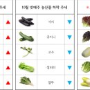 부산농산 네이버블로그