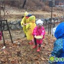 숲으로 가는 어린이집 이미지