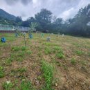 동읍스카이공인중개사사무소 이미지