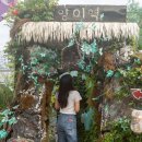 옹진사랑 | 영흥도 옹진군카페 수백마리 고양이들의 쉼터 &#39;고양이역&#39; 방문후기