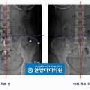 한양마디의원 이미지