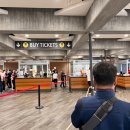 세계오지민속박물관 | 세계에서 가장 큰 로마 바티칸 박물관 성베드로성당 투어 후기