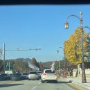 적하 | 대전 현충원 단풍구경 다녀온 하루🍁(국립대전현충원/레포레스트/성심당dcc점/한마음정육식당 대전관평점...