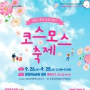 장동 | 대전 장동 계족산 코스모스 행사장 다녀온 후기